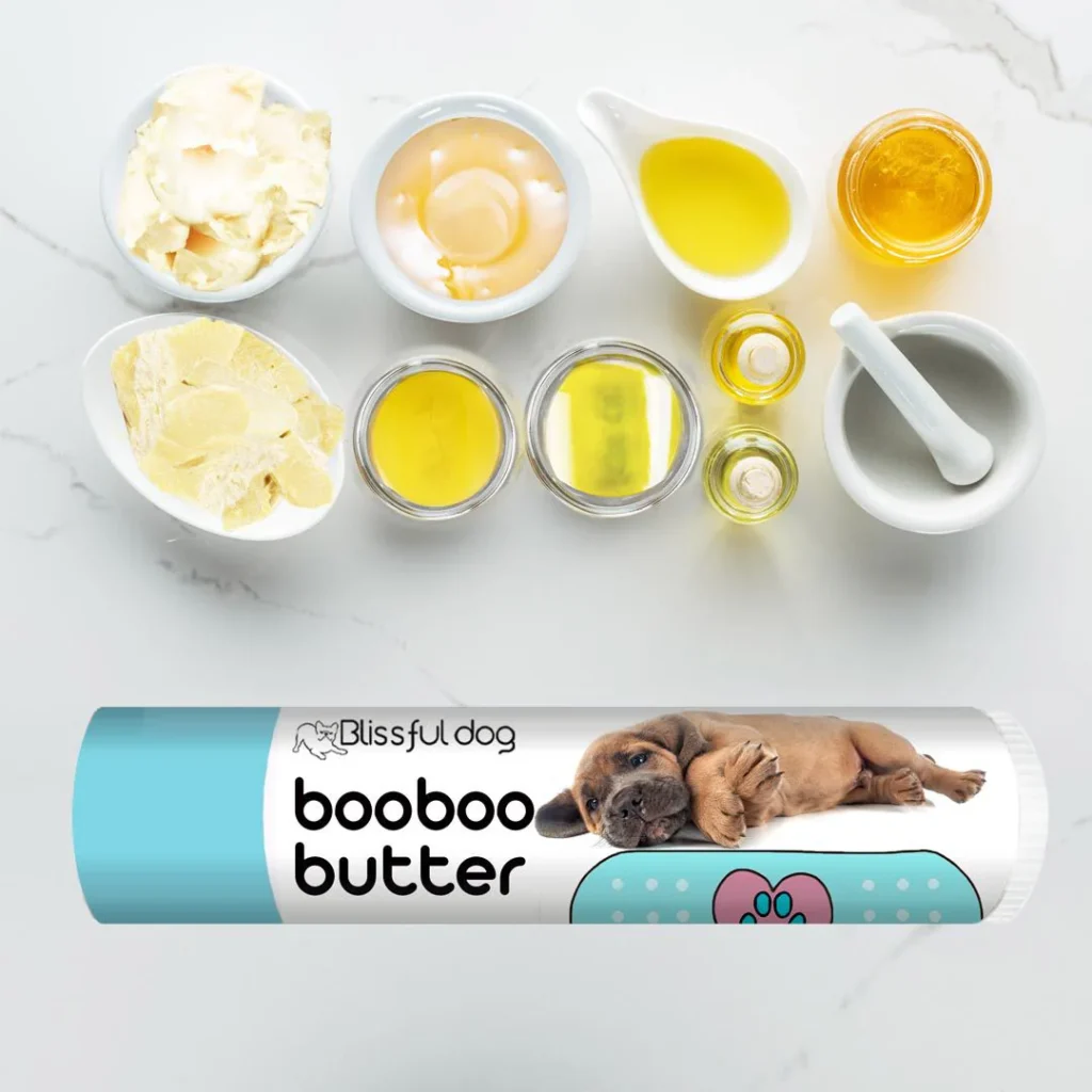 Hygiene Essentials for Cane Corso Skin Care